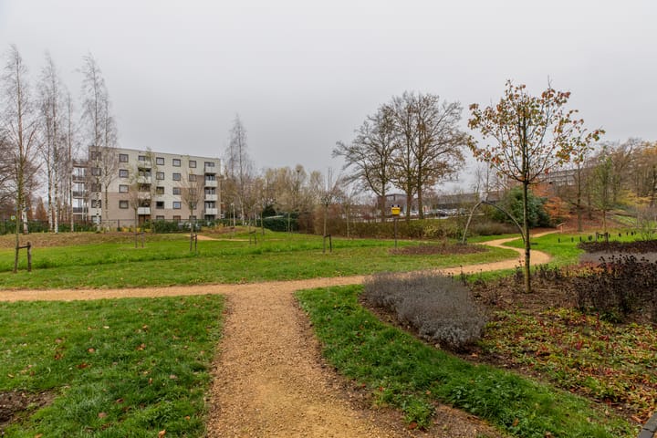 Foto 31 van Europalaan 251