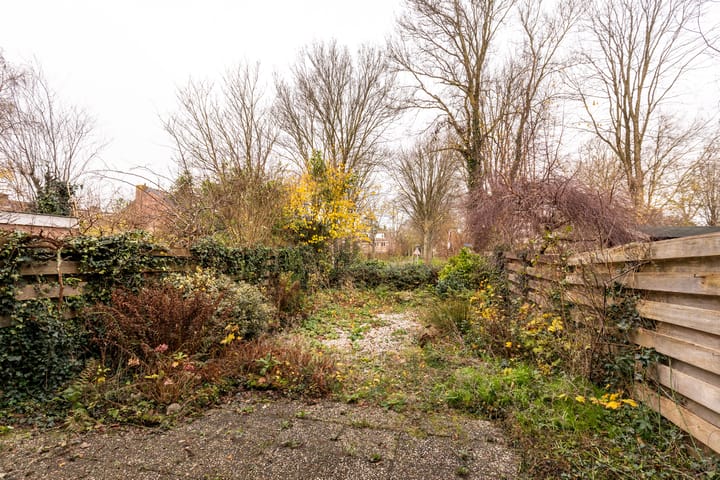 Photo 23 of Vogelwaarde 123