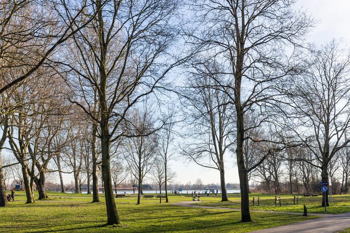 Photo 26 of Vogelwaarde 123