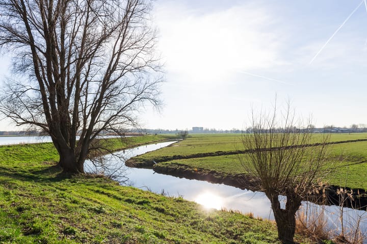 Photo 27 of Vogelwaarde 123