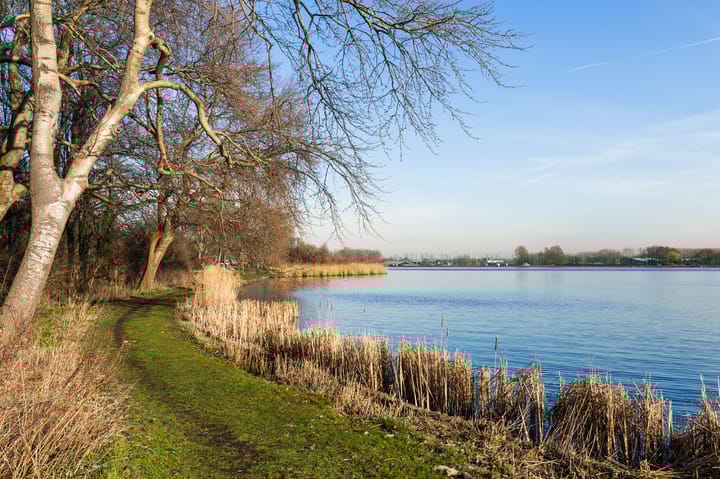 Photo 28 of Vogelwaarde 123