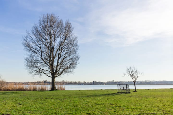 Photo 30 of Vogelwaarde 123