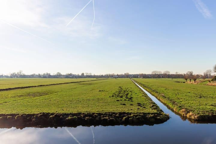 Photo 31 of Vogelwaarde 123