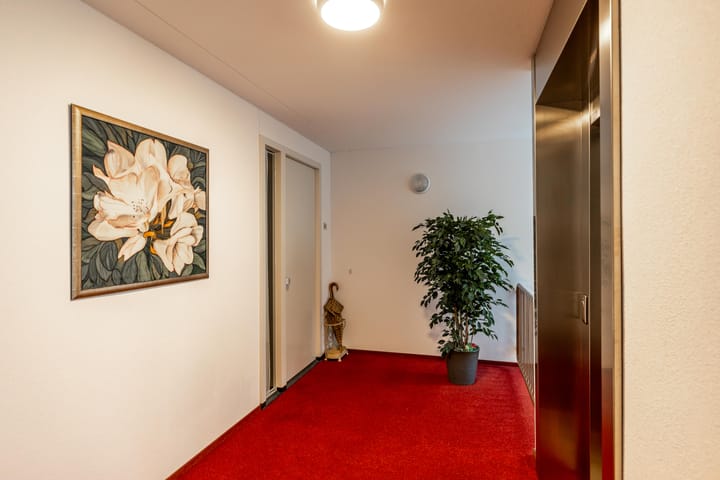 Foto 12 van Zuides 42