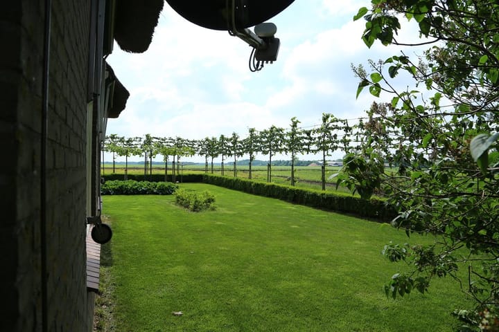 Photo 10 of Hoornse Bulten 8