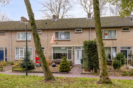 Frederik van Eedenlaan thumbnail