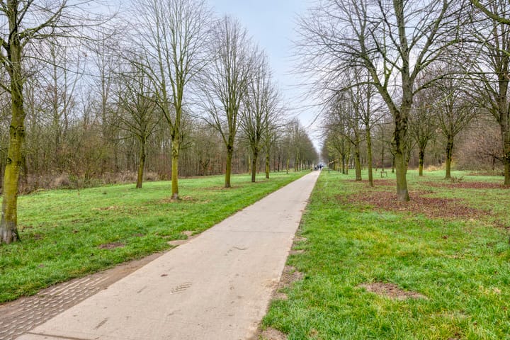 Photo 43 of Saffier 34