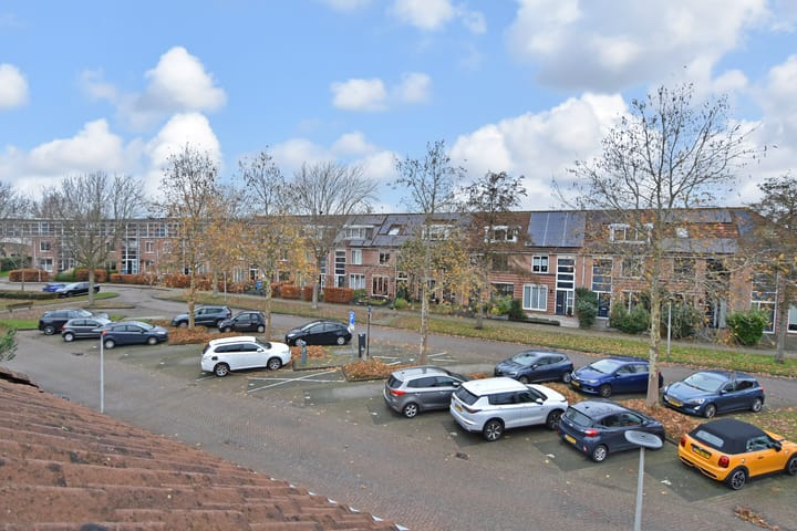 Foto 60 van Sleutelbloem 5