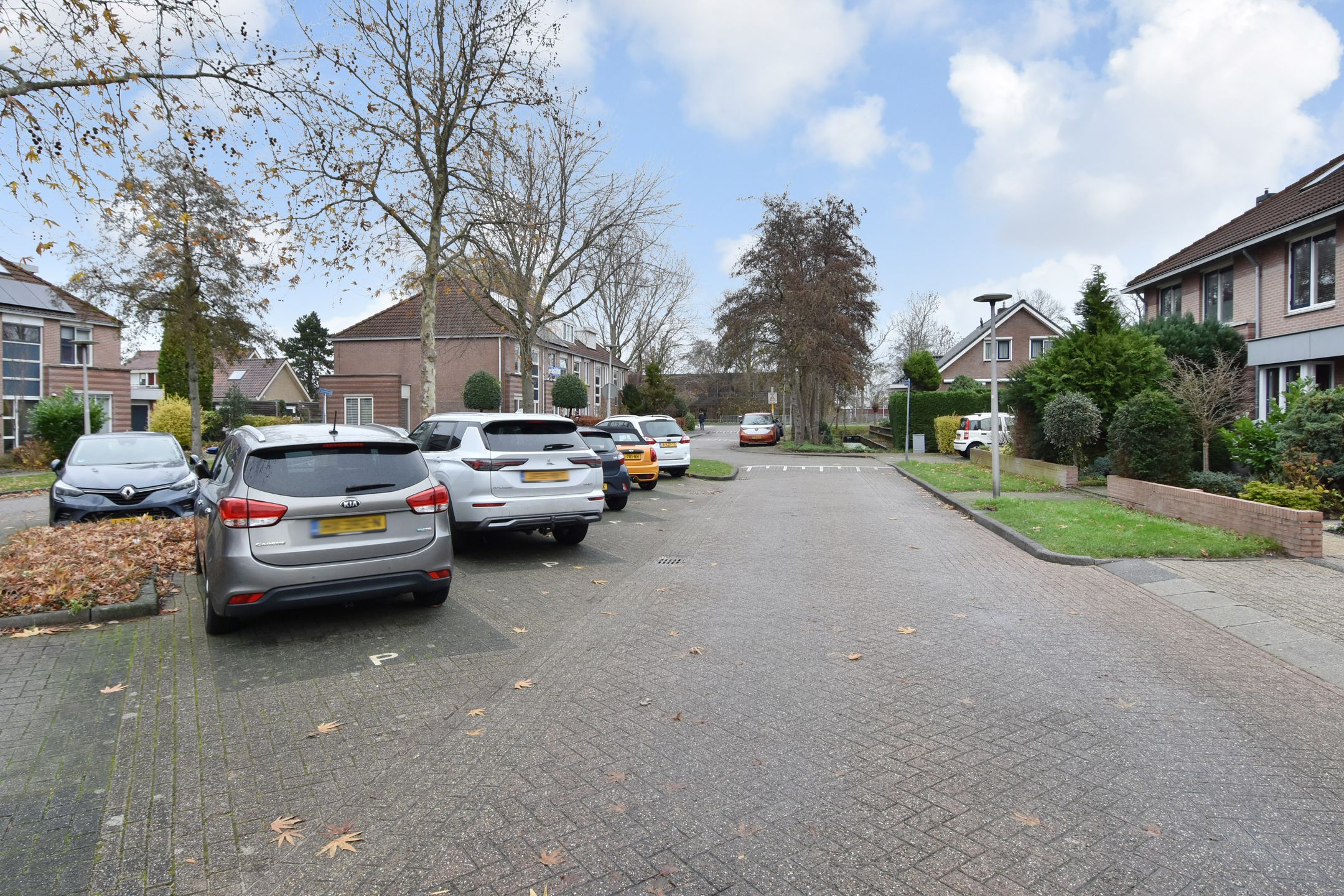 Foto 63 van Sleutelbloem 5