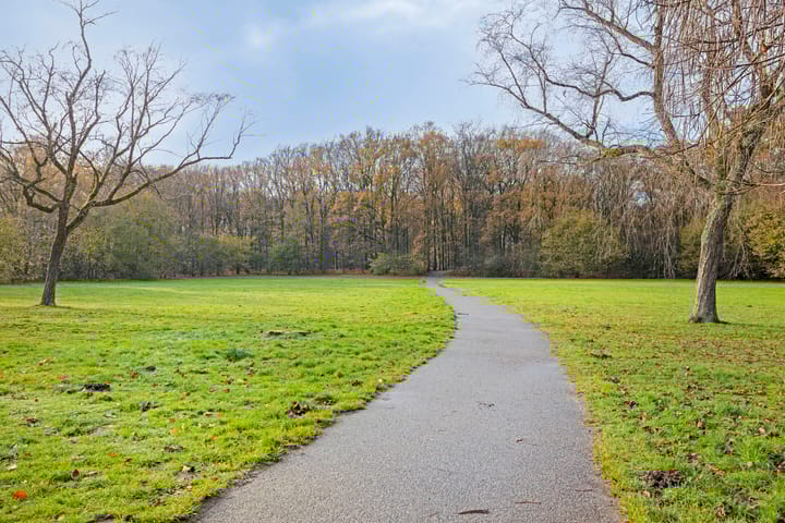 Foto 58 van Albert Servaesstraat 2