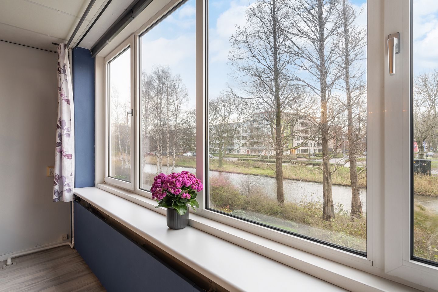 Foto 14 van Coornhertstraat 47