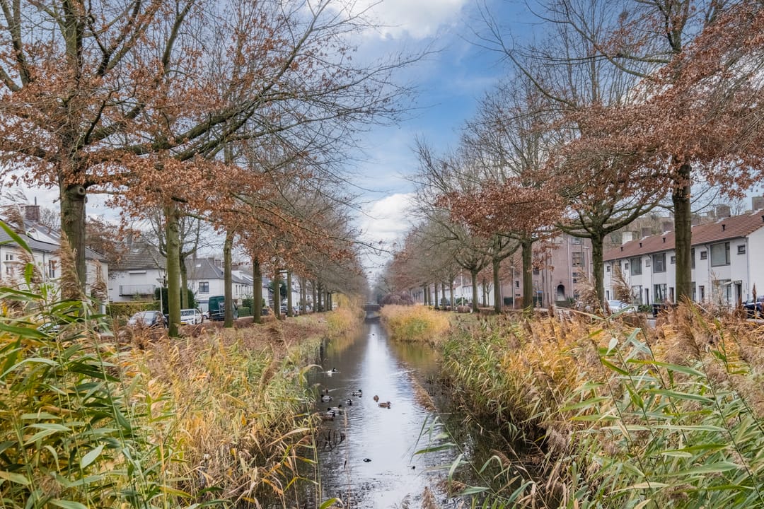 Foto 43 van Geldropseweg 300