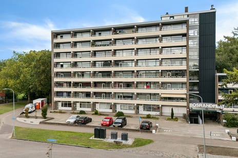 Landschaplaan thumbnail