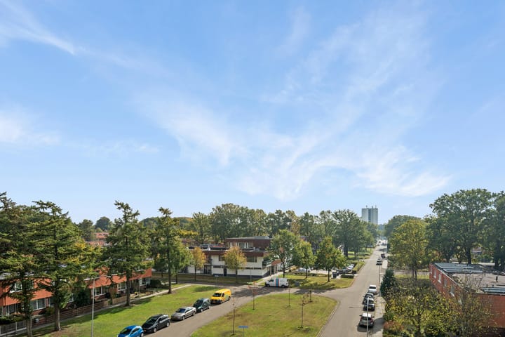 Foto 19 van Landschaplaan 109