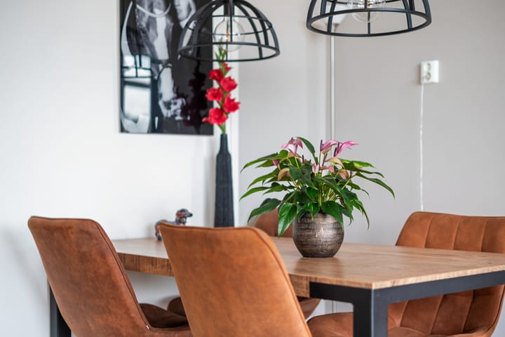 Foto 21 van Landschaplaan 109