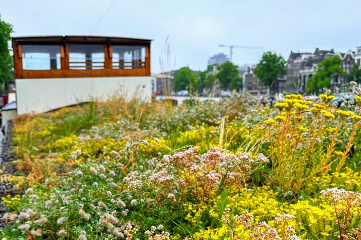 Photo 30 of Amstel 51-H