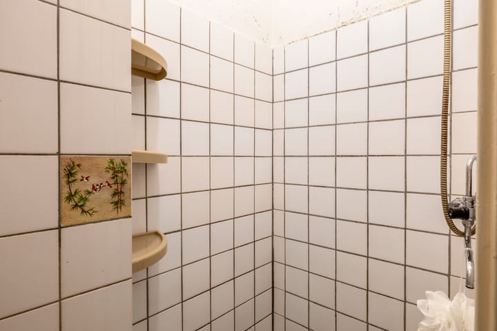 Foto 18 van Spangesekade 110-C