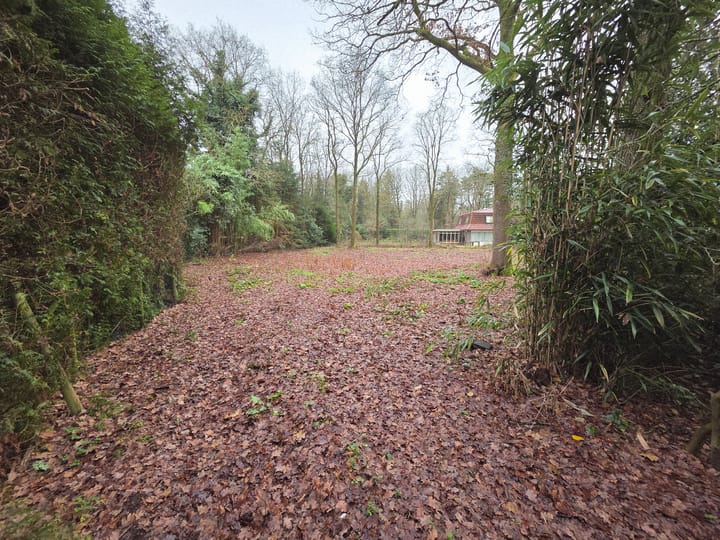 Foto 2 van Boterpol 17