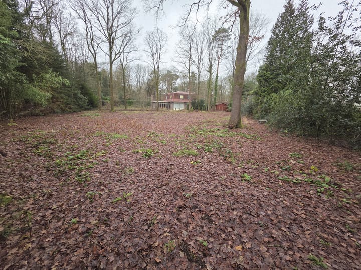 Foto 3 van Boterpol 17