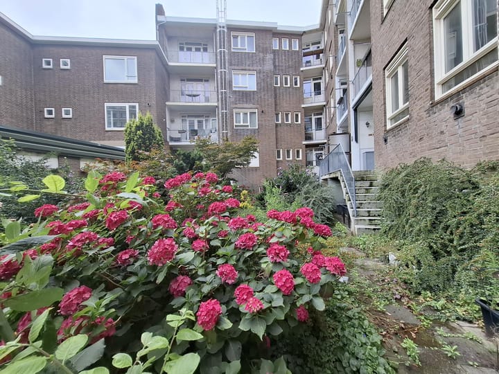 Foto 10 van Stadhoudersweg 43-A