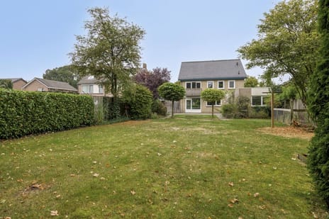 Alberthus Risaeusstraat 8-a secondary image