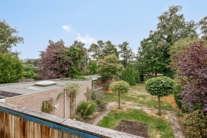 Photo 27 of Alberthus Risaeusstraat 8-A