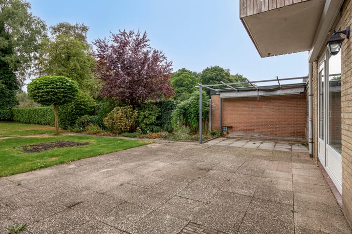 Photo 36 of Alberthus Risaeusstraat 8-A