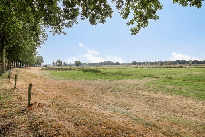 Photo 42 of Alberthus Risaeusstraat 8-A