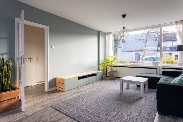 Photo 4 of Frans Halsplantsoen 5