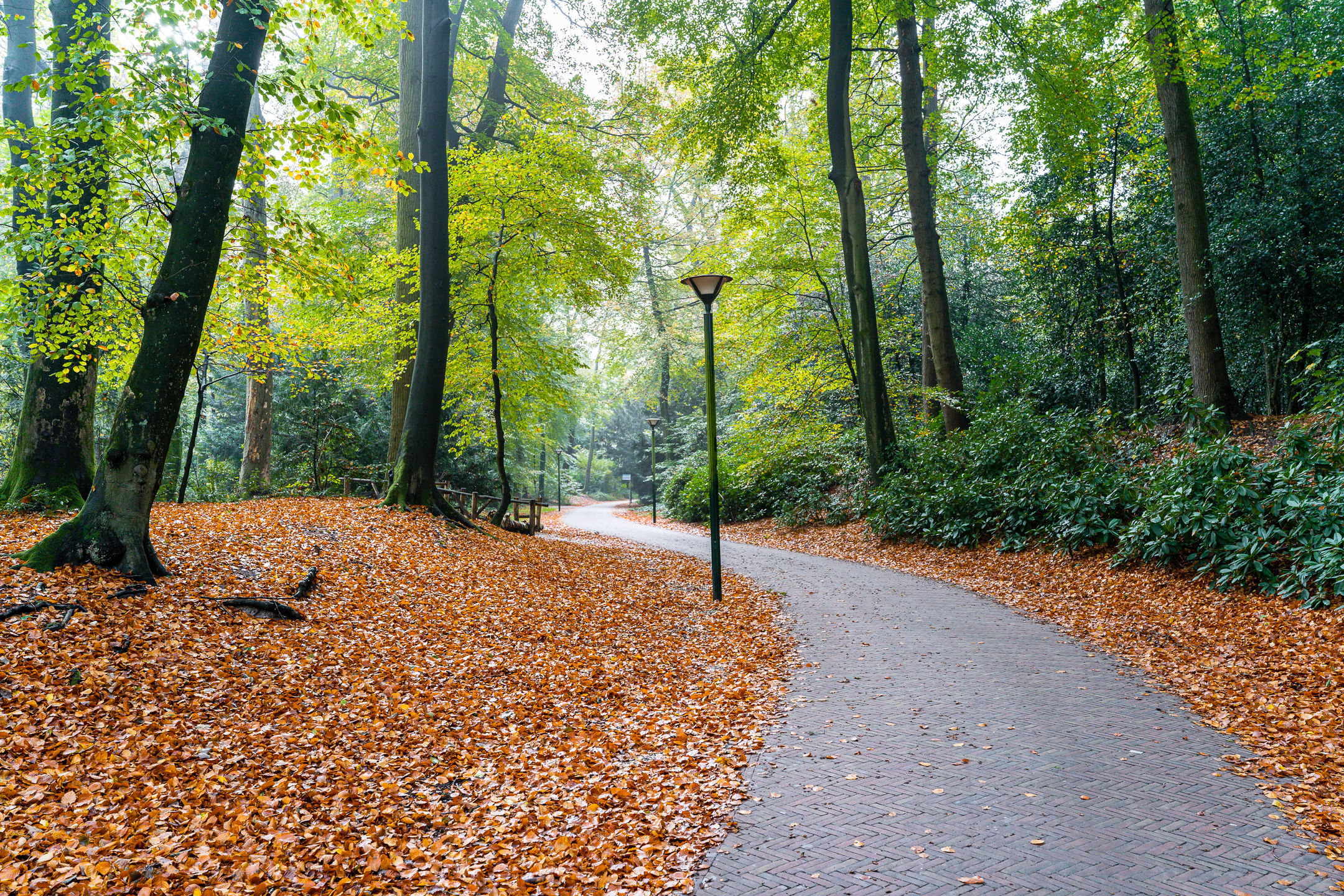 Foto 30 van Bachweg 183