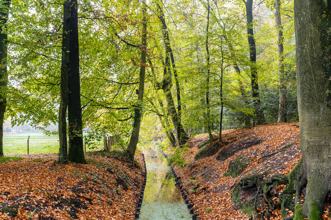 Foto 31 van Bachweg 183