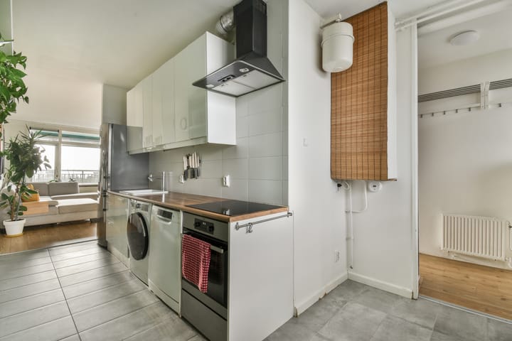 Foto 11 van Wipmolen 53