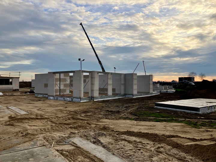 Foto 3 van Holstein-Friesian 19