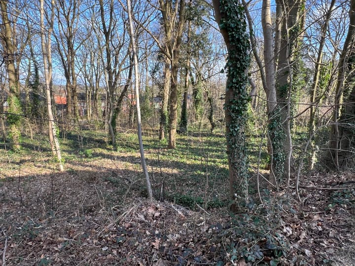 Foto 103 van Sophiaweg 6