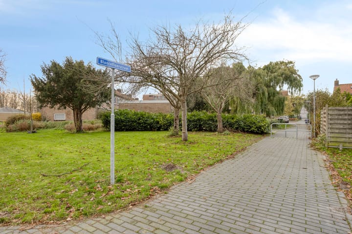 Foto 43 van Blancefloerstraat 12