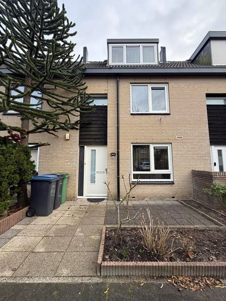 undefined main image