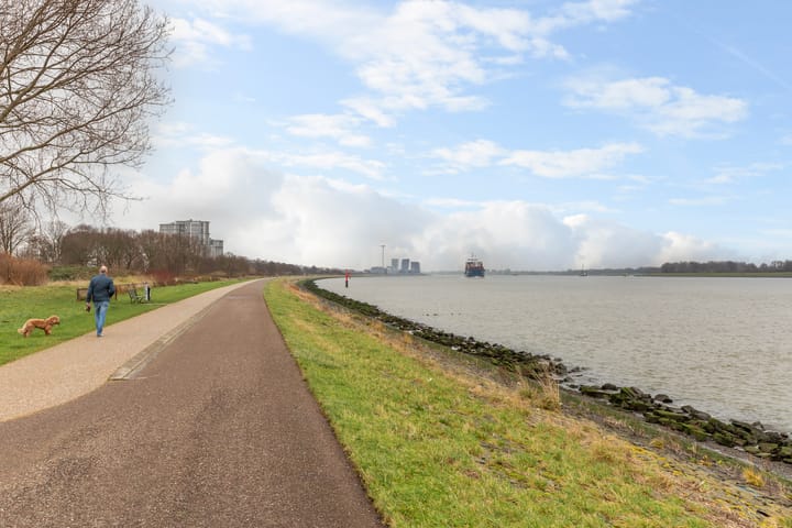 Photo 53 of Dr. Albert Schweitzerdreef 383