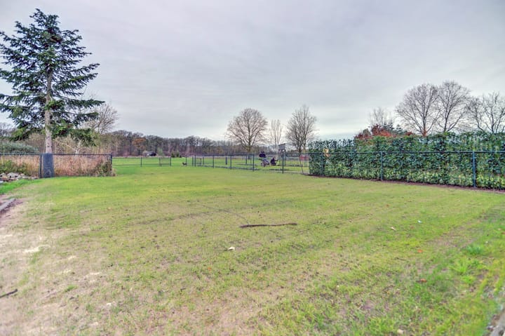 Foto 41 van Schoorstraat 10