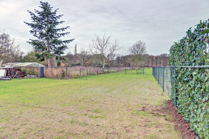 Foto 42 van Schoorstraat 10