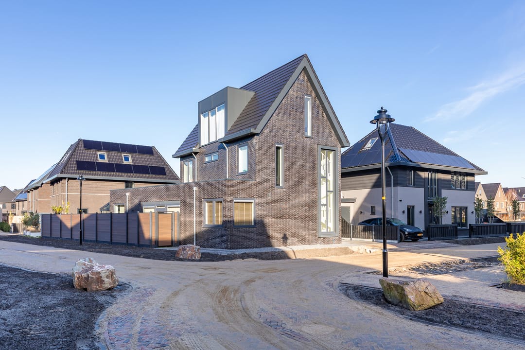 Photo 8 of Aleksandr Prochorovstraat 30