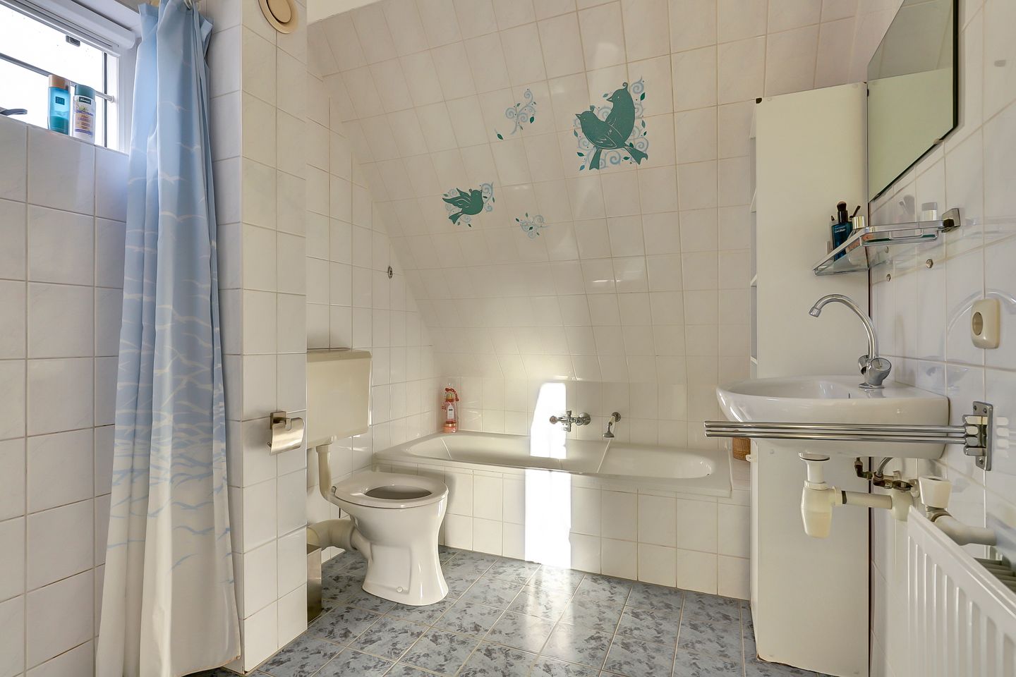 Foto 19 van Schoutsland 44