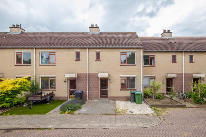 Hallsteinstraat 61 main image