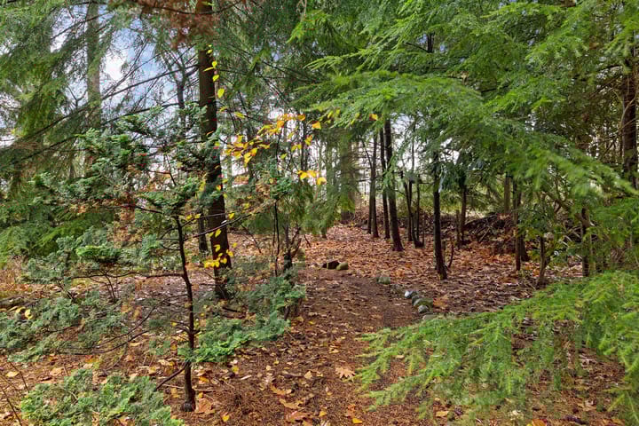 Foto 33 van Ballerswal 13