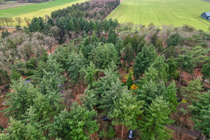 Foto 46 van Ballerswal 13