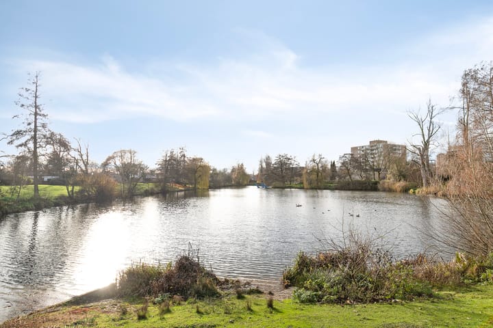 Foto 46 van Canopuslaan 32