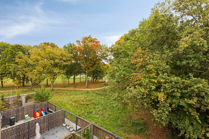 Foto 21 van Sonate 34