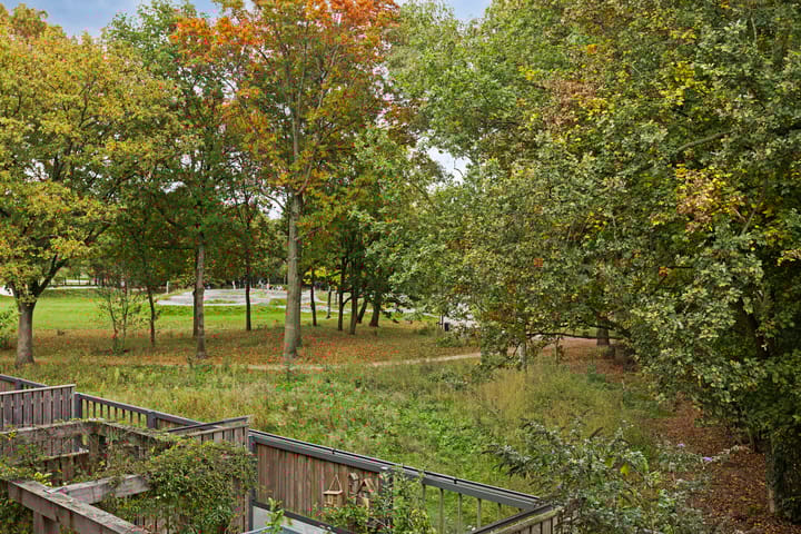 Foto 22 van Sonate 34