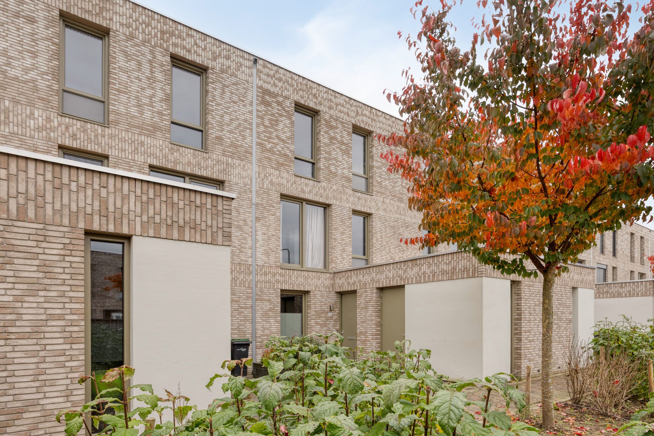 Foto 24 van Sonate 34