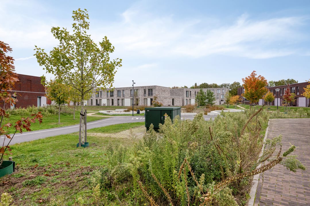 Foto 28 van Sonate 34