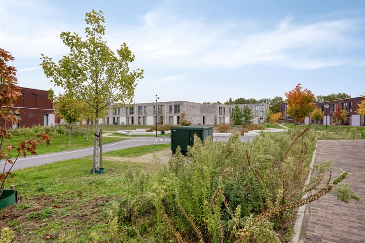 Foto 28 van Sonate 34